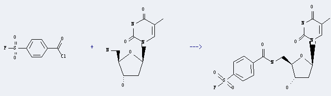 Benzoyl chloride,4-(fluorosulfonyl)- is used to produce 5'-deoxy-5'-[4-(fluorosulfonyl)benzamido]thymidine
